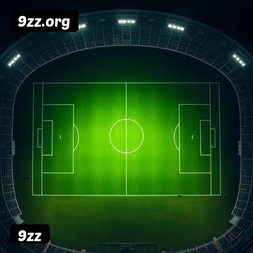 Níveis do programa VIP da 9zz